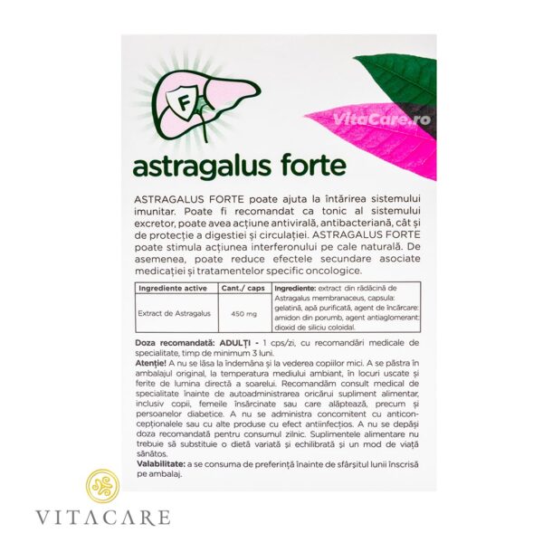 Astragalus Forte - imagine 4