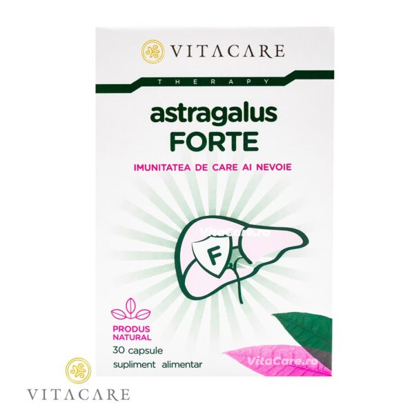 Astragalus Forte - imagine 3